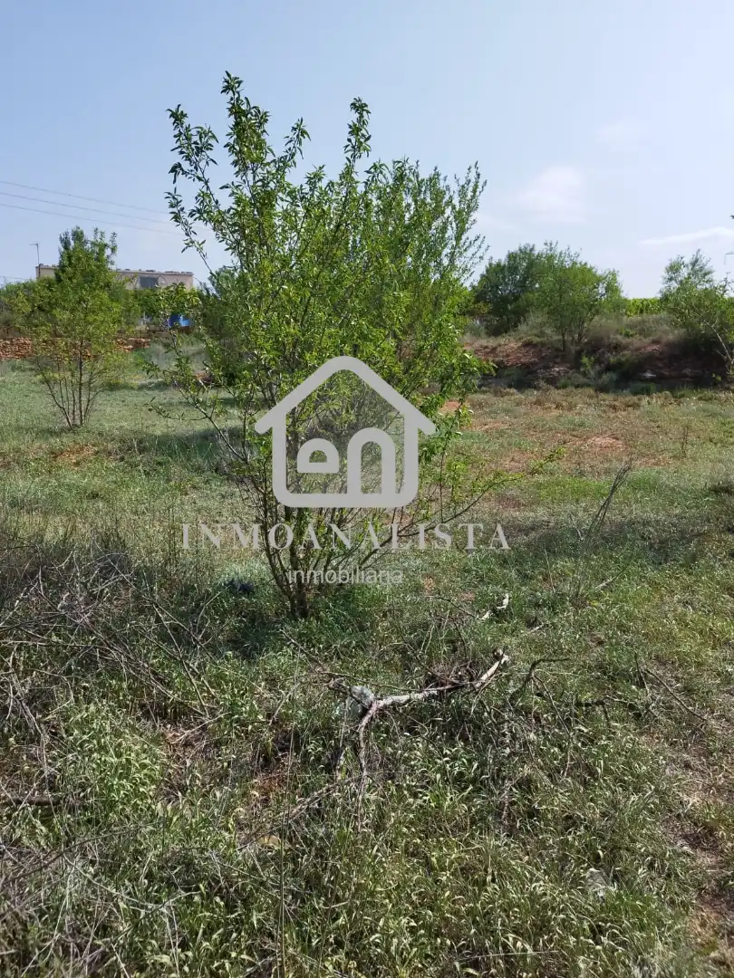 Rural land for sale in E-901, imagen 6