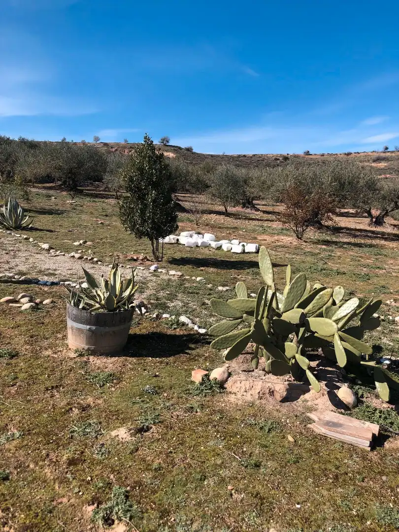 Rustikales Grundstück zum Verkauf in Villamediana de Iregua, imagen 9