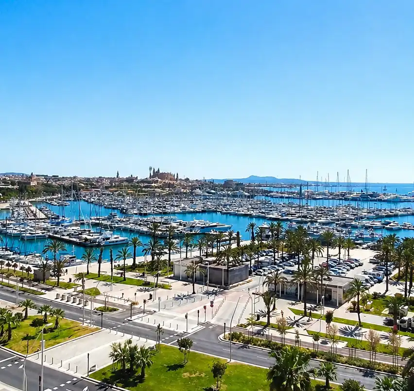 Vista exterior de Piso en venta en  Palma de Mallorca con Aire acondicionado, Parquet y Terraza