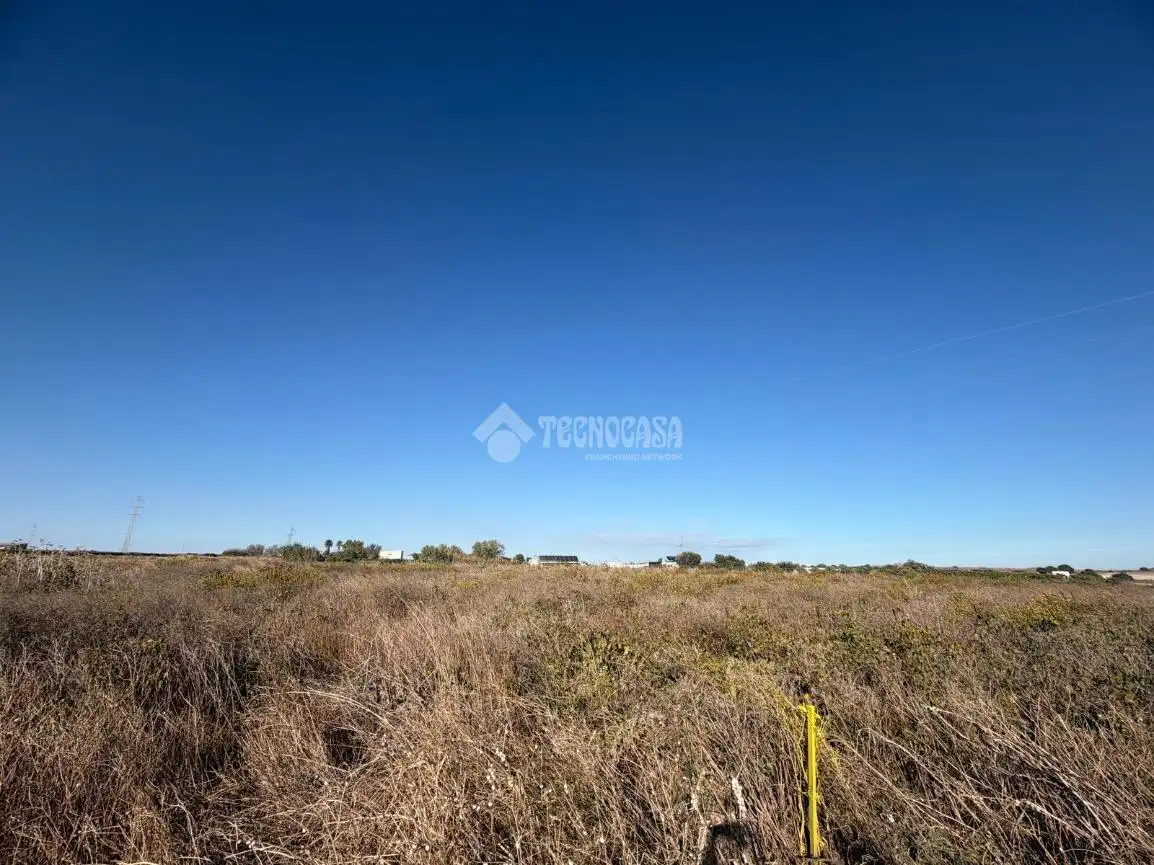 Terreno rústico en venta en Los Franceses – La Vega, imagen 8