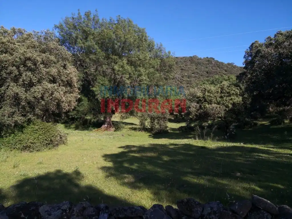 Casa en venda a Casas del Castañar, imagen 11