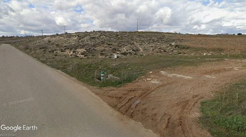 OLIVAR CERCA DEL PUEBLO, PARA CONSUMO PROPIO, RECREO, immagine 4