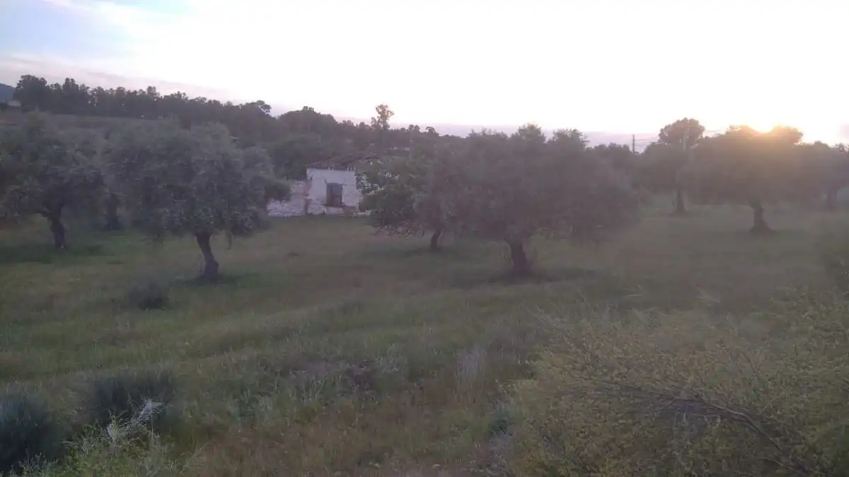 Finca rústica en venda en Mérida