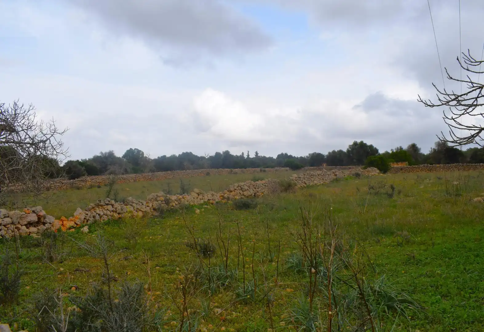 Wohnbaugrundstück zum Verkauf in Santa Margalida Poble, imagen 8