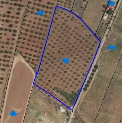 Terreny rústic en venda a Pedanías Oeste, imagen 13