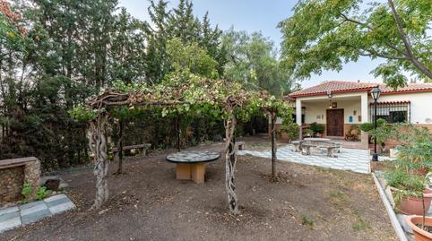 Photo 4 of House or chalet for sale in Polígono Poligono 222, 57, Zona de la Vega, Antequera