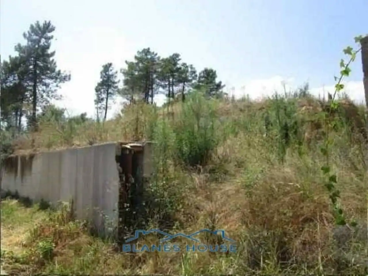 Terrain rustique à vendre à Calle CLAVELL 10, imagen 7
