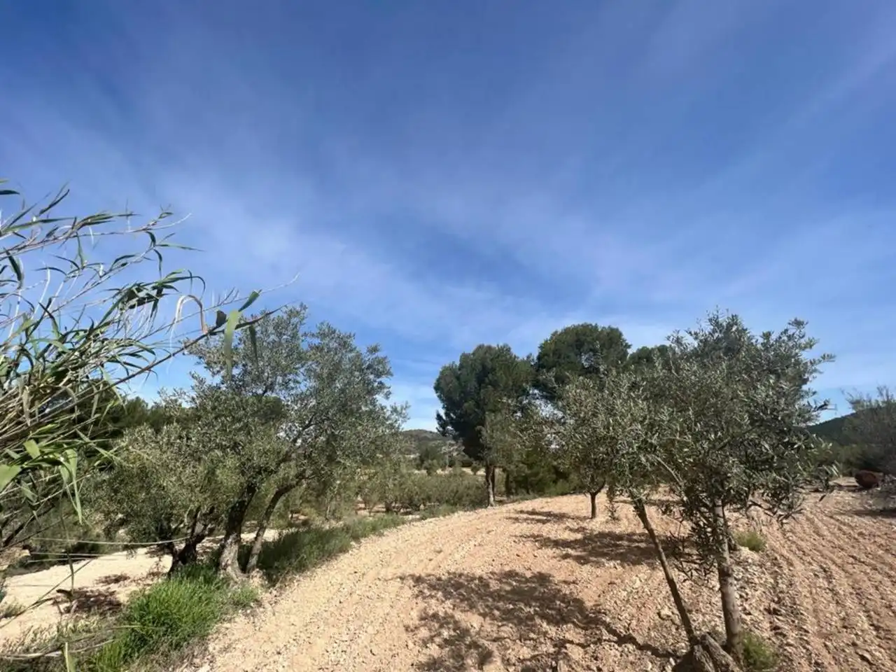 Chalet con jardín en venta en Calle Poligono, imagen 128