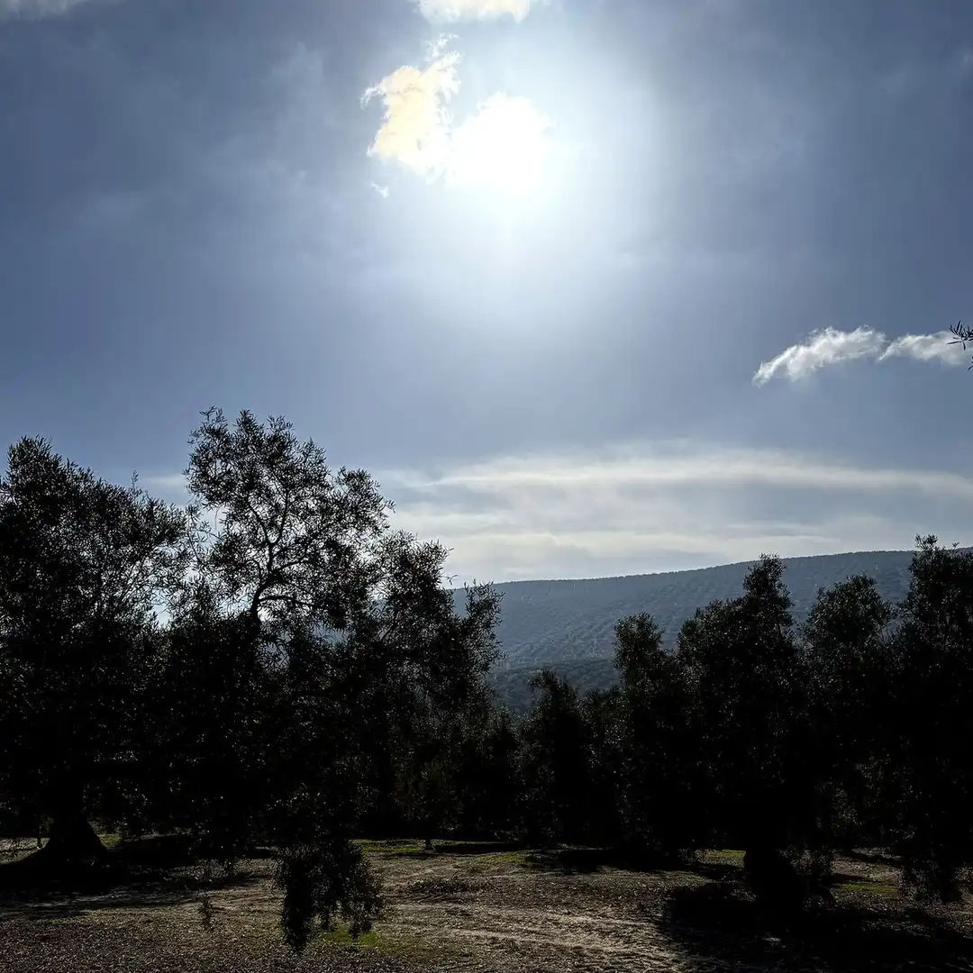 Vista exterior de Casa o chalet en venta en Villanueva de Algaidas con Jardín privado y Terraza