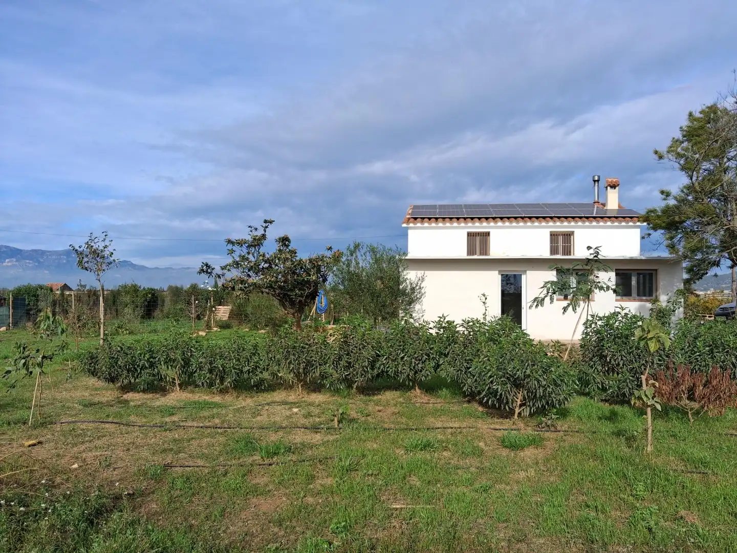 Casa o xalet en venda en Amposta