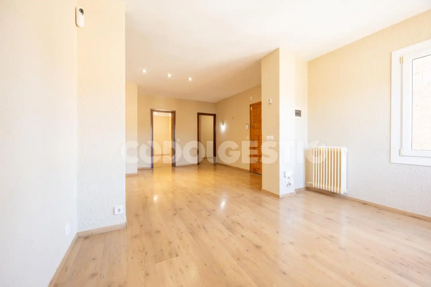 Sala d'estar de Pis en venda en Sant Quirze de Besora