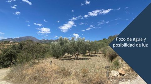 Ref. 29 Terreno en Casarabonela, imatge 5