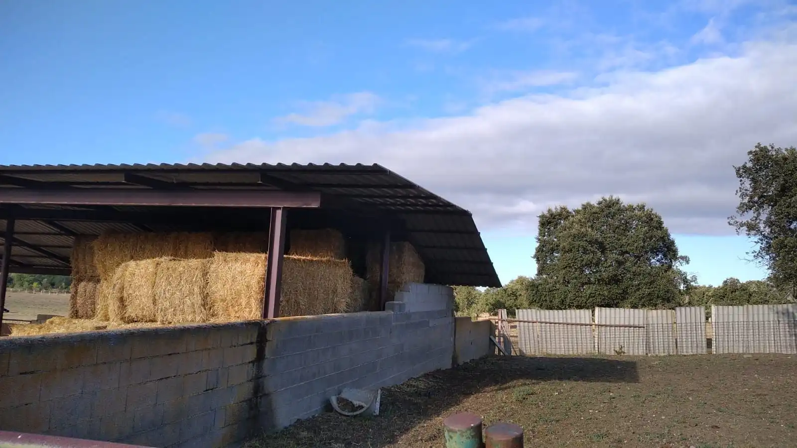 Rural land for sale in Topas, imagen 16