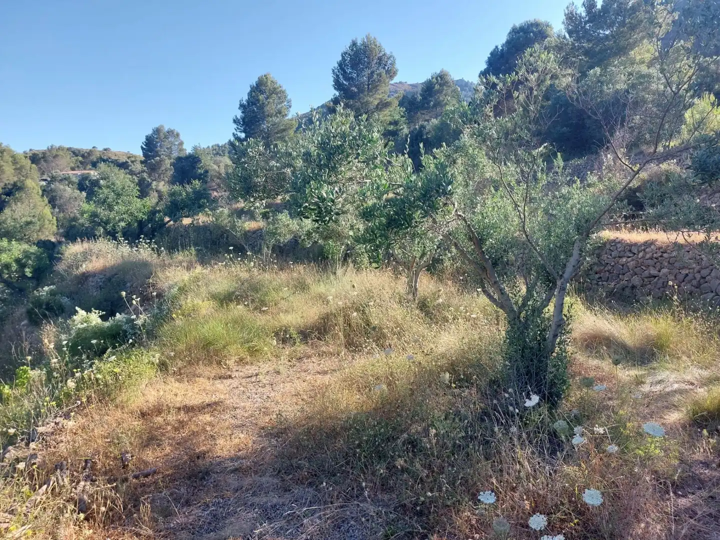 Terrenys i solars en venda a Xaló, imagen 7