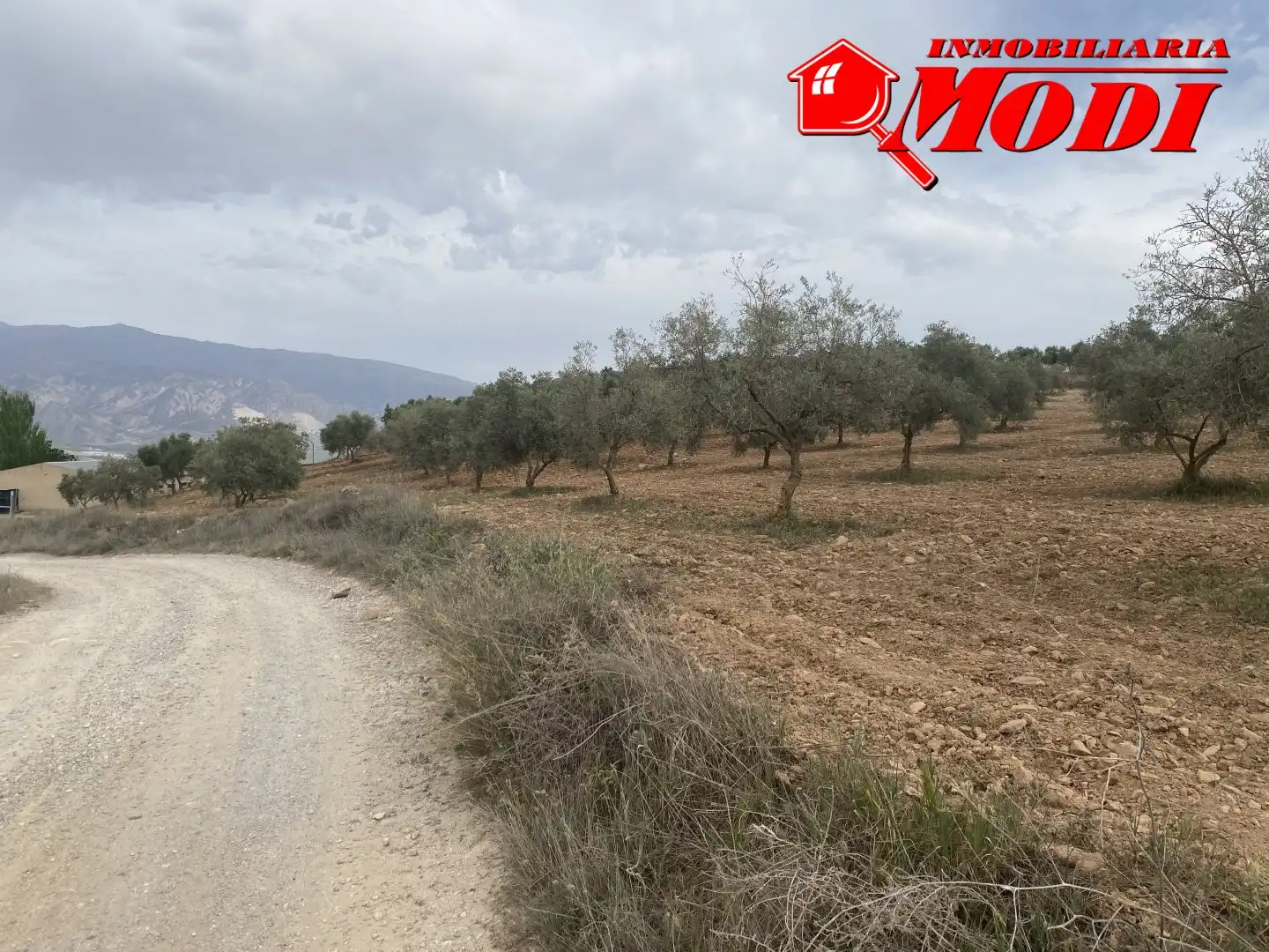 Terrenys i solars en venda a Padul, imagen 29