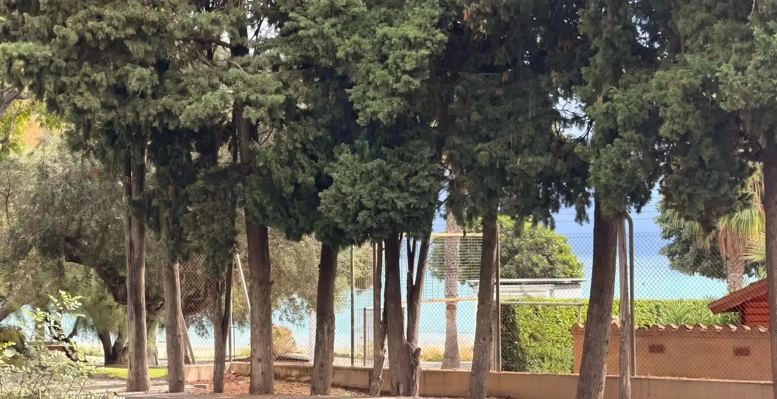 Casa con giardino in vendita a Ardiaca - La Llosa, imagen 37