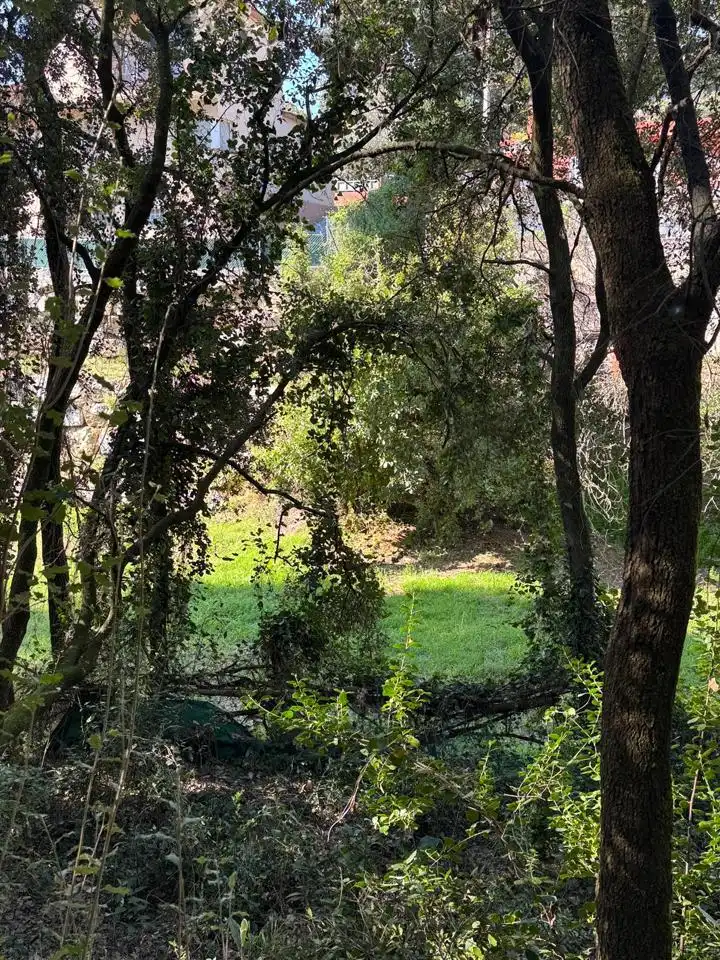 Grundstücke und Bauplätze zum Verkauf in De Lluis Millet, imagen 8