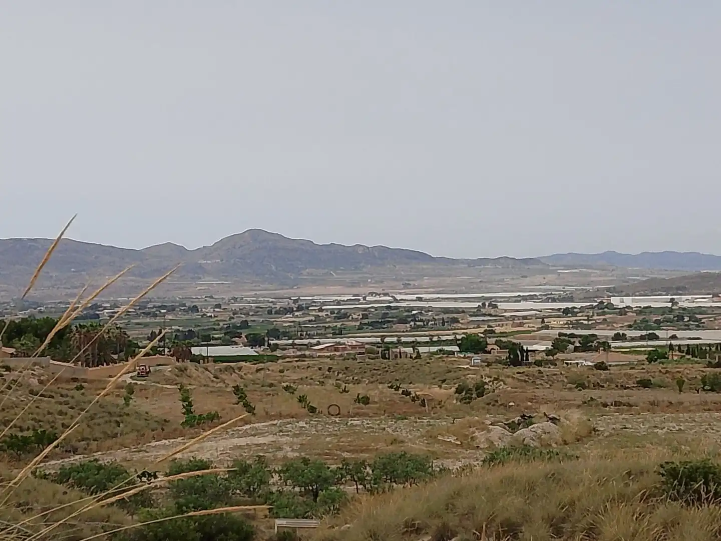 Terreny rústic en venda a Partida Rochet, imagen 19