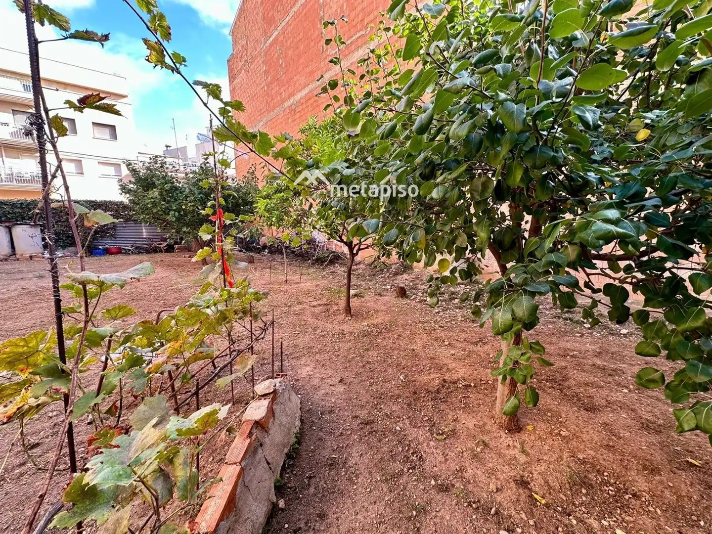 Rural land for sale in El Tancat - Mas d'en Gual, imagen 6