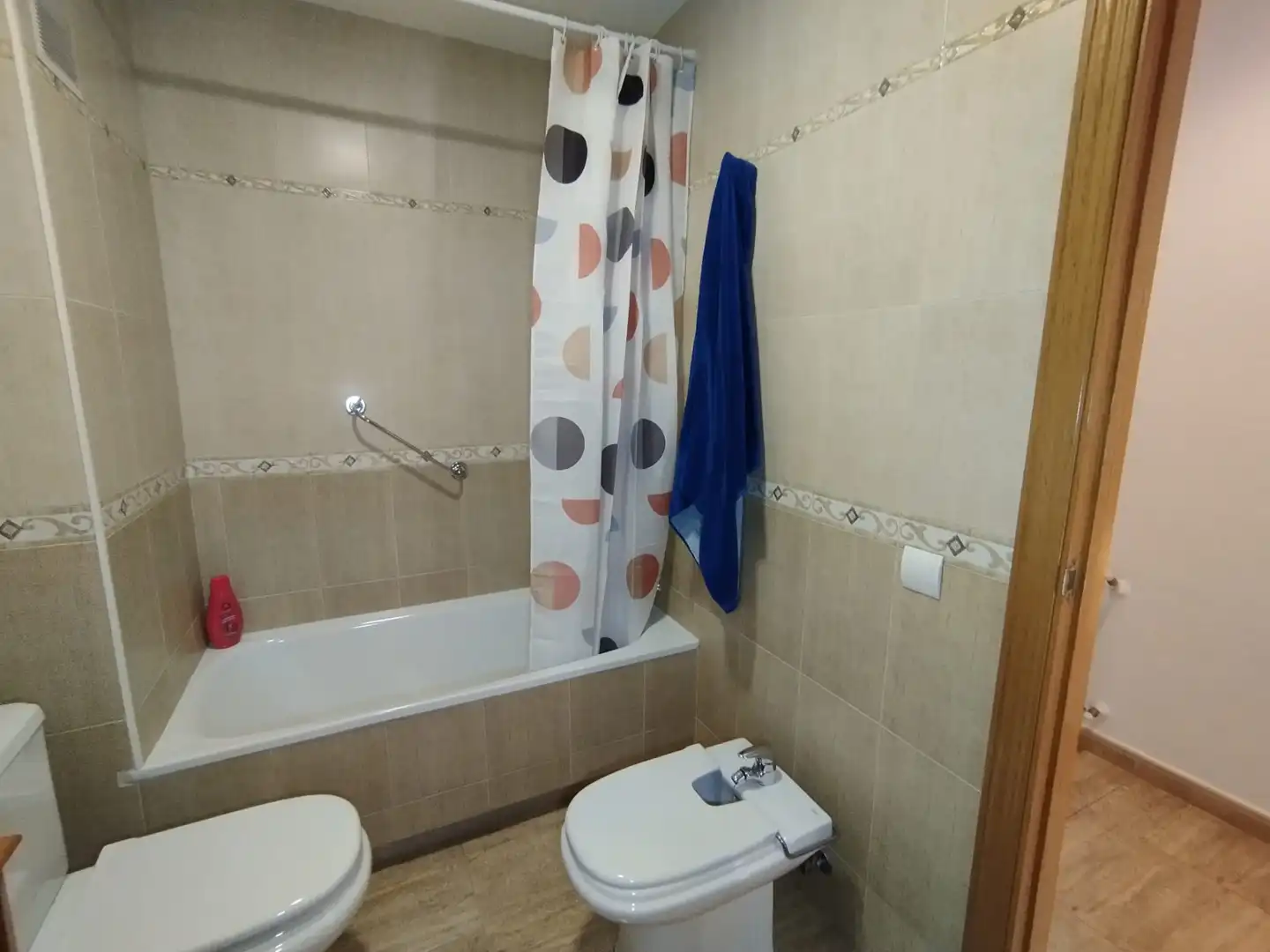 Vivienda con jardín en venta en Calle Buenos Aires, imagen 31