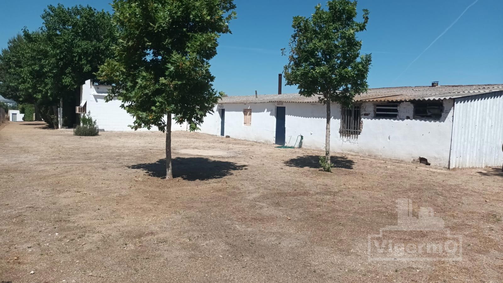 Land for sale in San Fernando de Henares
