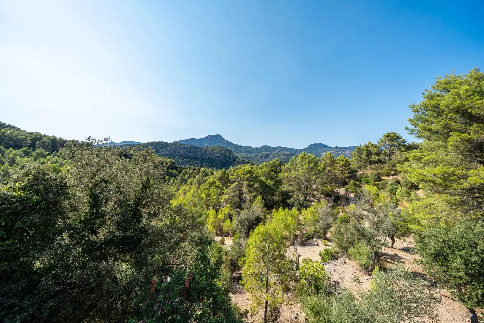Finca rústica en venta en Puigpunyent con Aire acondicionado, Calefacción y Jardín privado