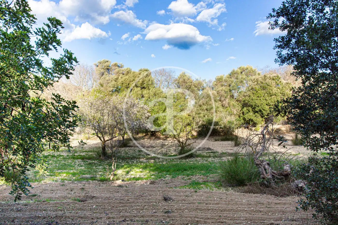 Residencial en venta en Santa Margalida