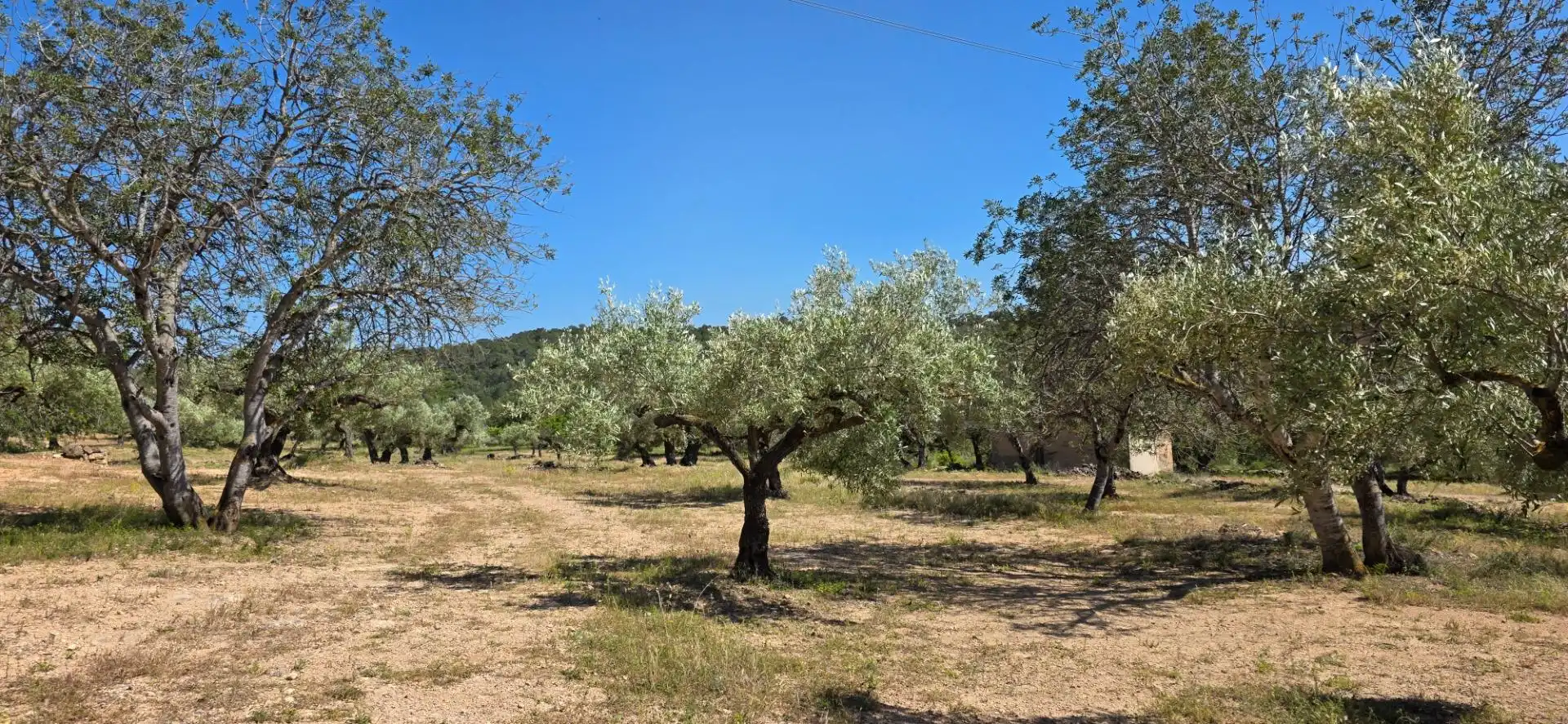 Maison rustique à vendre à Tivissa, imagen 32