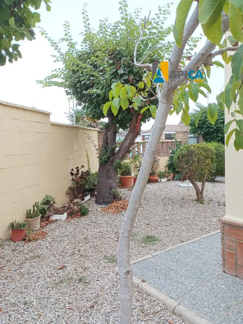 Jardí de Casa o xalet en venda en Chiclana de la Frontera amb Terrassa i Moblat