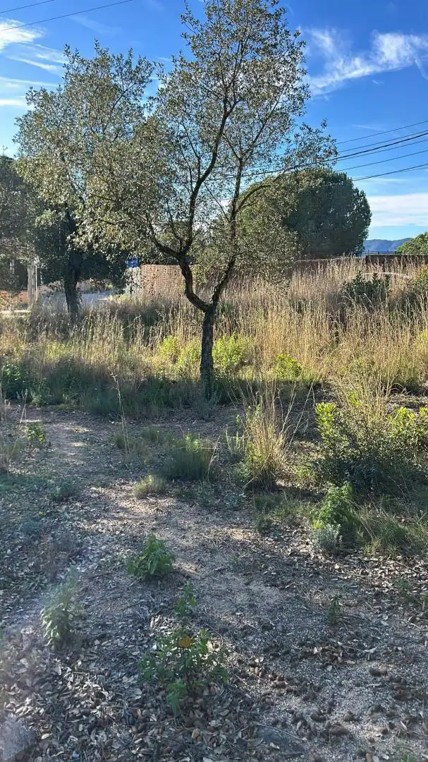 Terreno residencial en venta en Sensitiva