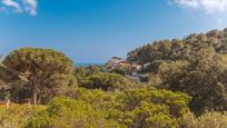 Vista exterior de Casa o xalet en venda en Sant Cebrià de Vallalta amb Calefacció, Terrassa i Internet