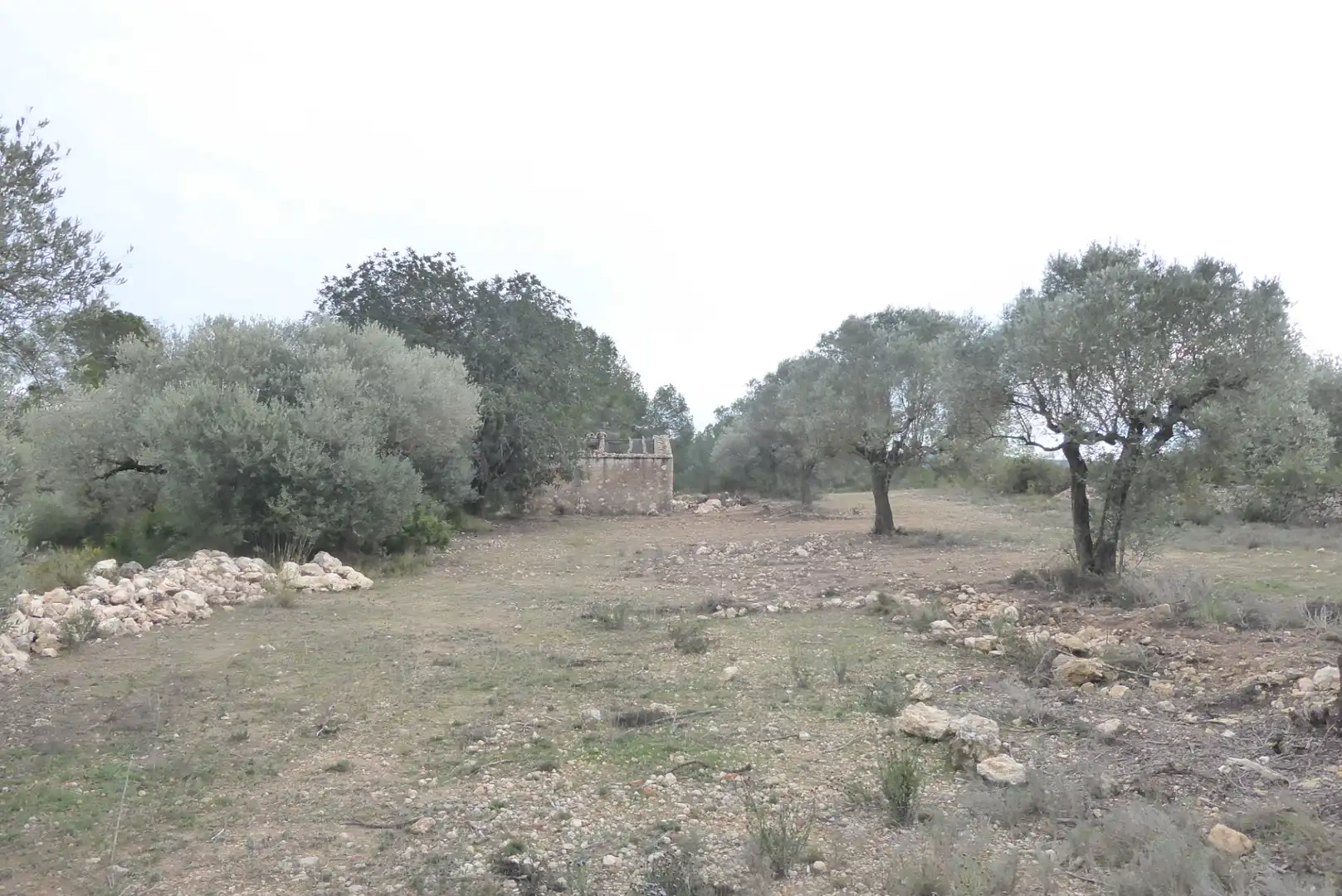 Rural land for sale in Benissanet, imagen 4