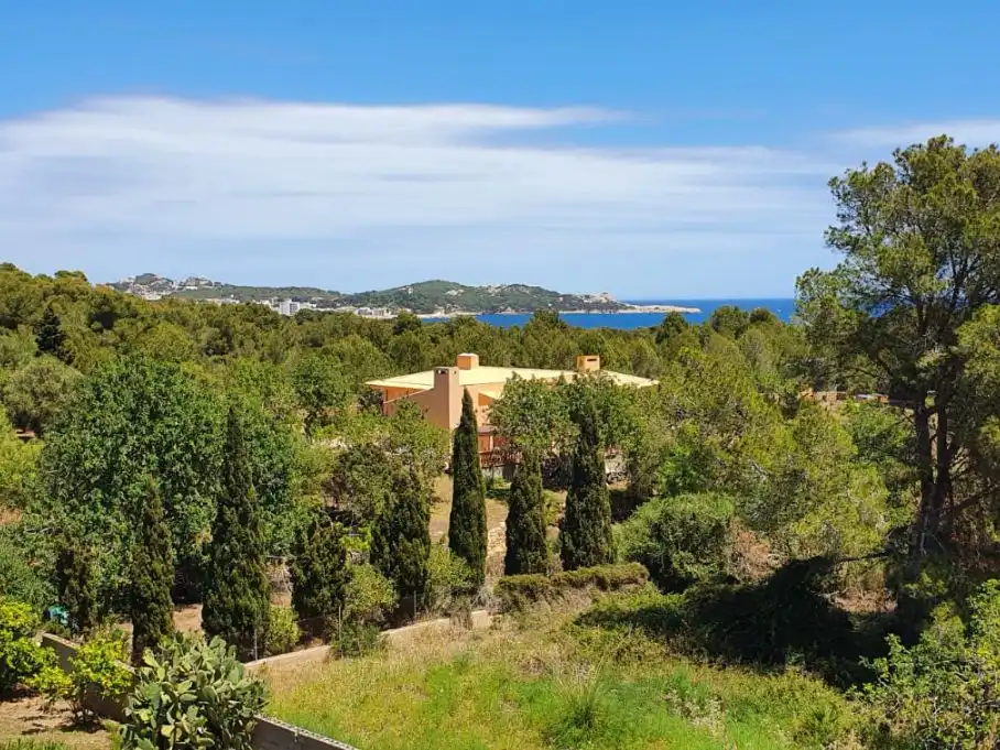 Finca rústica en venta en Cala Ratjada
