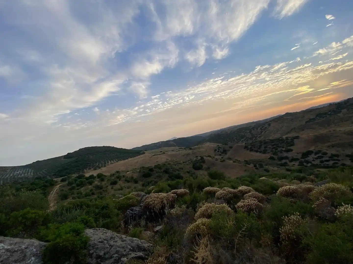 Rural land for sale in Morón de la Frontera, imagen 12