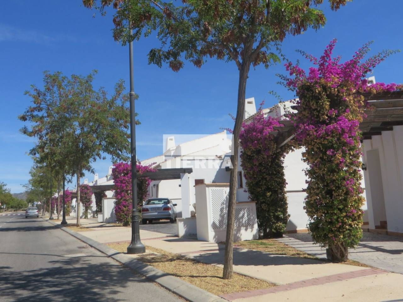 Exterior view of House or chalet for sale in  Murcia Capital  with Private garden, Terrace and Swimming Pool