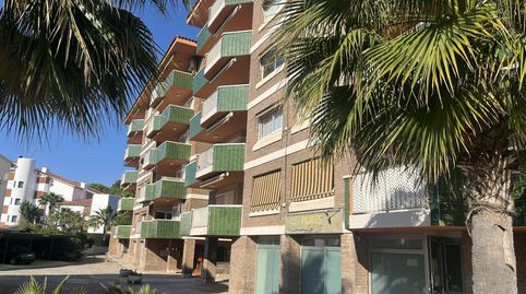 Foto 2 de Planta baja en venta en De la Figuera, Roda de Berà, Tarragona