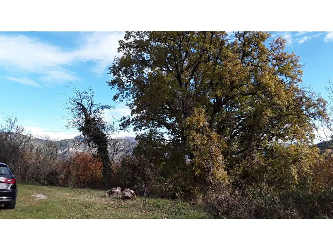 Country homes for sale in Vallcebre  with Private garden