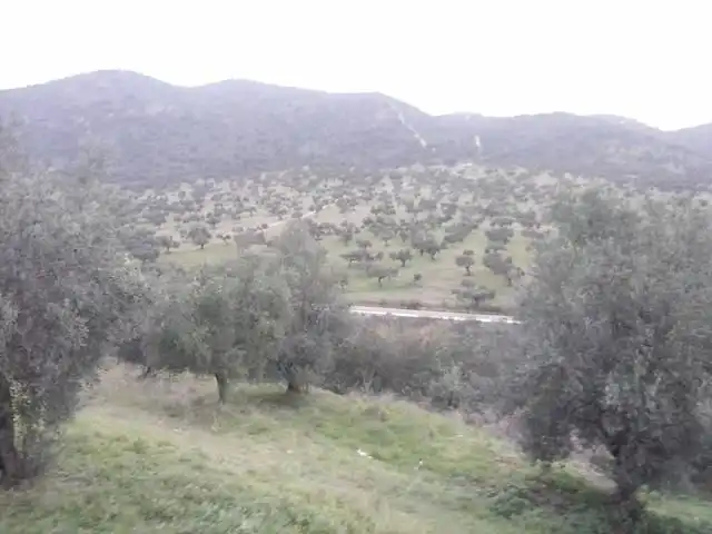 Casa in vendita a Belmez, imagen 6