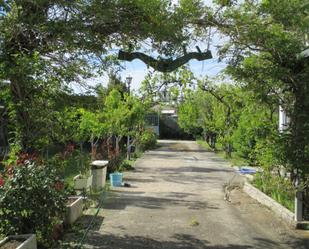 Jardí de Casa o xalet en venda en Castellanos de Villiquera amb Terrassa