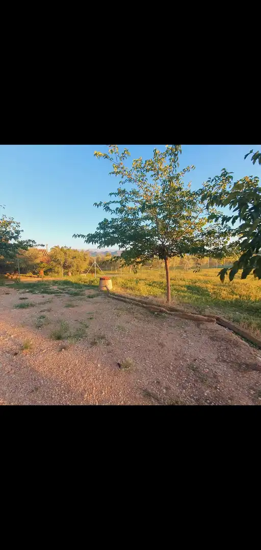 Casa en venta en Móra d'Ebre, imagen 12