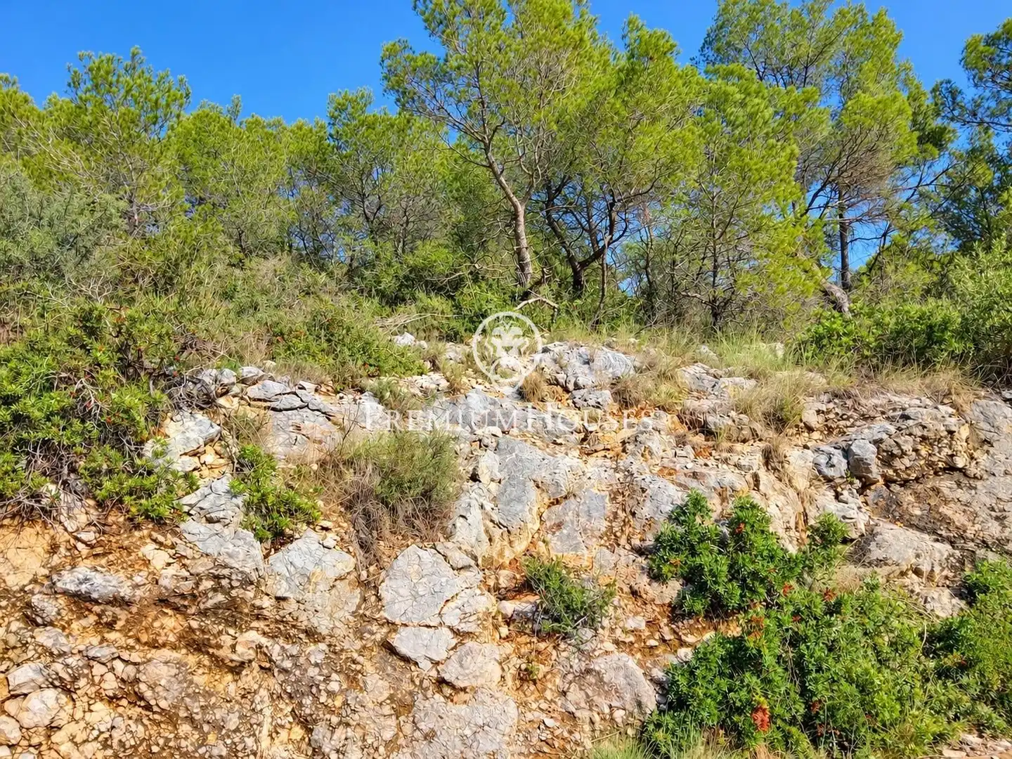 Residential land for sale in Mas Alba, imagen 8