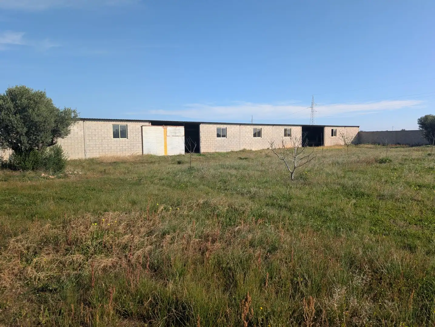 Terreno rustico in vendita a Partidas de interior - Zona Rústica, imagen 26