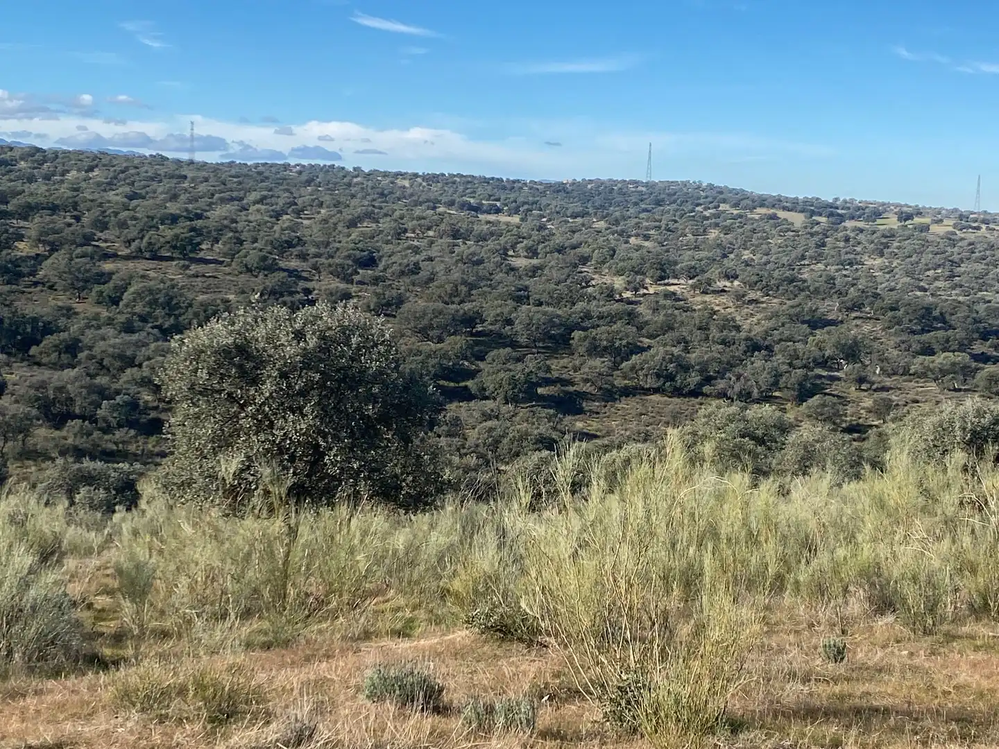 Grundstücke zum Verkauf in La Estrella