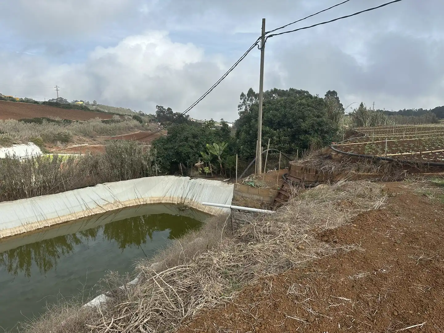 Finca rústica en venta en Santa María de Guía de Gran Canaria