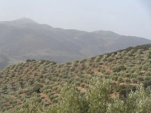 Terreni e lotti in vendita a Huelma, imagen 11