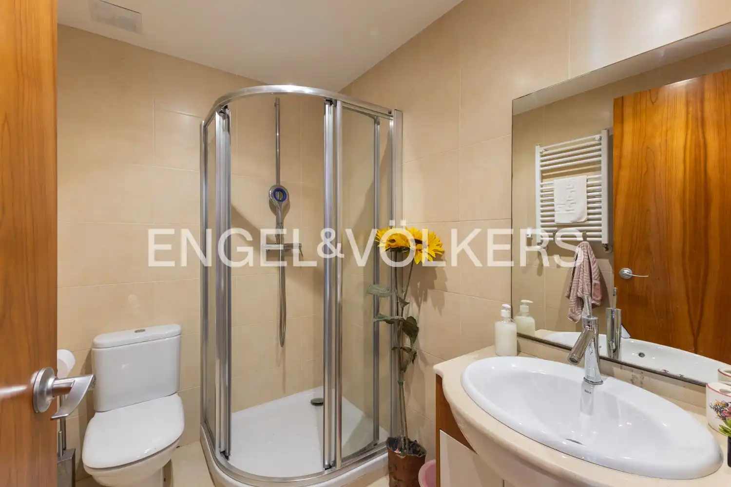 Bathroom of Houses for sale in Torre en Conill - Cumbres de San Antonio 