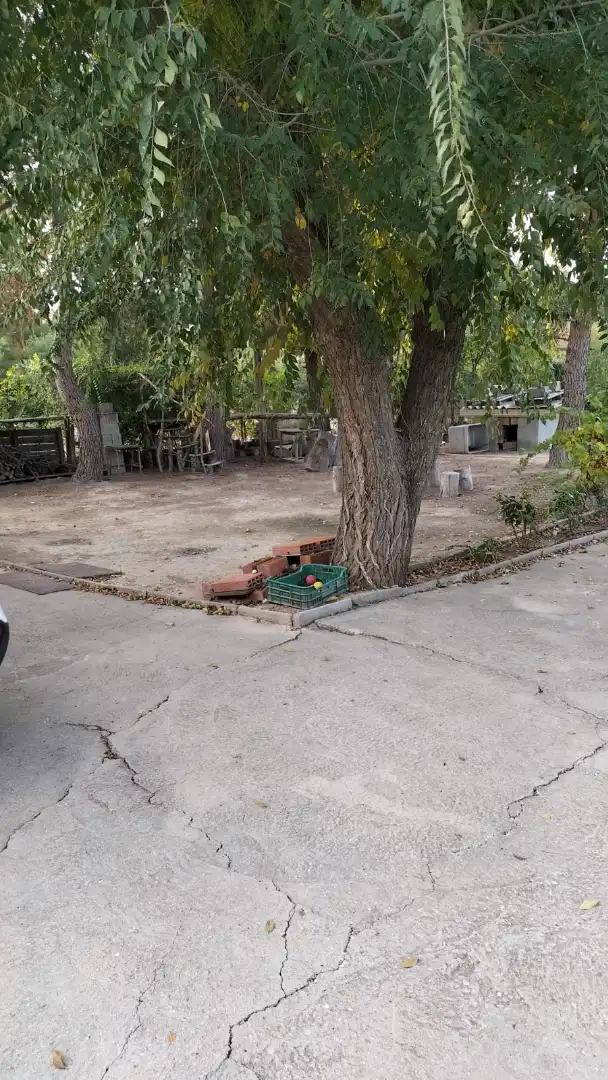 Xalet en venda a Pedanías - Extrarradio, imagen 30