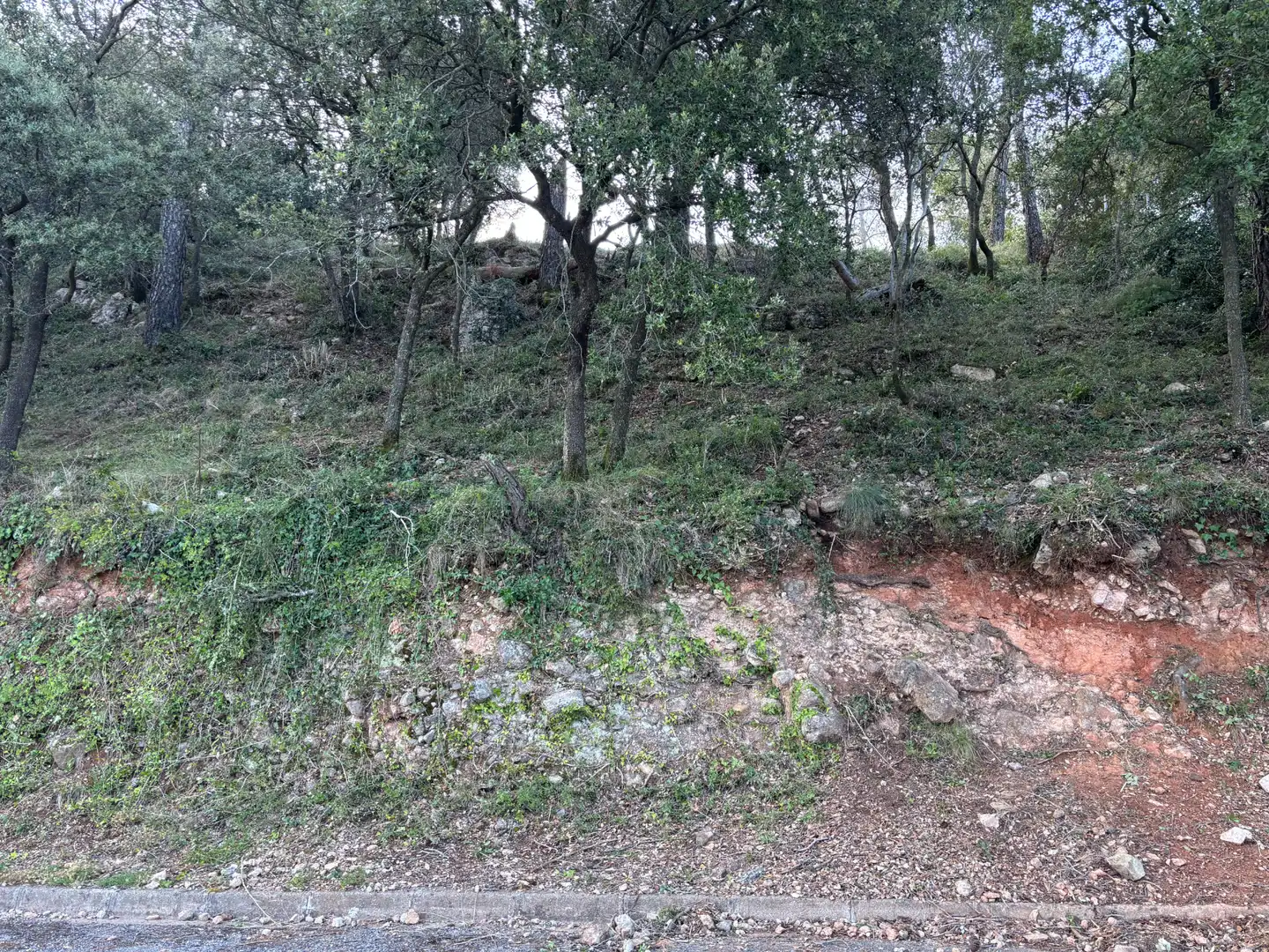 Residential land for sale in Carrer Pasarell, imagen 2