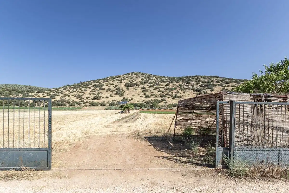 Land for sale in Montefrío