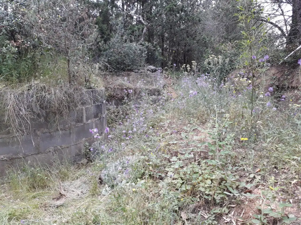Grundstücke und Bauplätze zum Verkauf in Niàgara Parc - Àgora Parc, imagen 2